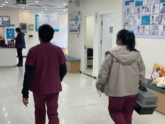 -美联众合动物医院·24h京西诊疗中心