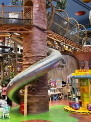 -卡通尼·Safari非洲探索乐园·生日会(金桥国际商业广场店)