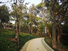 -上海市保健医疗中心(华东疗养院)