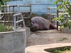 -西安秦岭野生动物园