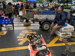 -清远三鸟海鲜农贸市场