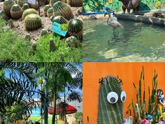 -正佳雨林生态植物园