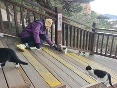 -崂山仰口游览区