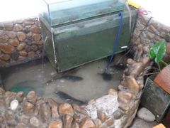 android_upload_pic-369美食(清凉峡路店)