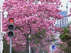 -万科前海企业公馆