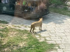 -深圳野生动物园