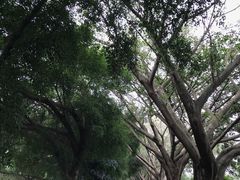 -李小龙乐园(顺德均安店)