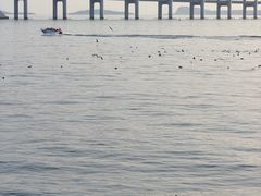 -星海广场