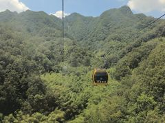 -栾川竹海野生动物园