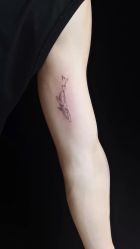 -长沙纹身·龙堂刺青·三土师傅的店