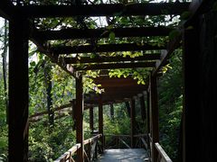 -大岭沟猕猴桃谷风景区