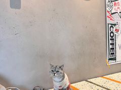 -虎伢Fuuya!咖啡煎饼(陆家嘴波特营店)