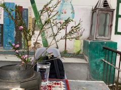 -樹下遇见树·咖啡