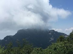 -王顺山国家森林公园