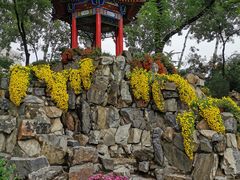 -莲湖公园