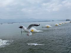 -海埂大坝