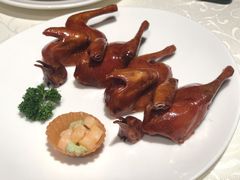 润烧乳鸽-悦海堂(金融街购物中心店)