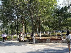 -回龙观体育文化公园