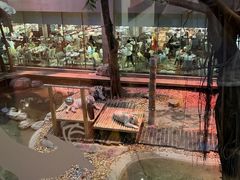 -麒麟中餐厅·经典粤菜·地道菜式老字号(广州长隆酒店)