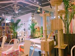 -小时光咖啡馆(开森度假森林店)
