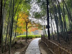 -敬亭山风景名胜区