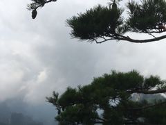 -老界岭旅游度假区