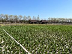 -永定河休闲森林公园