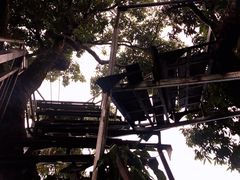 -竹泉农庄·竹筒饭(从化店)