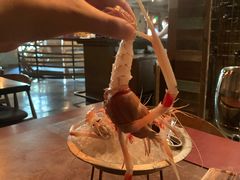 -斯普汇生蚝牛排馆(中骏世界城店)