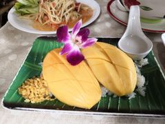 -Jungle Kitchen