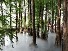 -东湖落雁景区