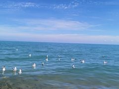 -青海湖国家重点风景名胜区