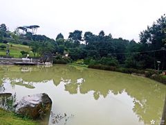 -铁山坪森林公园