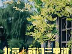 -三里河公园