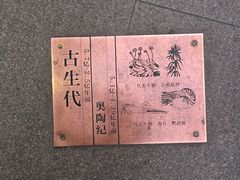 -陕西自然博物馆