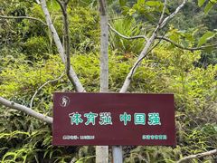 -黄檀硐景区