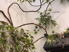 -耳艺采耳·足疗·按摩SPA(市桥店)