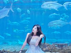 -华夏文旅西安度假区