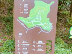-上海佘山国家森林公园天马山园