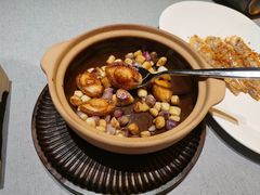 砂锅鲍鱼仔-徐记海鲜(南油永新汇店)