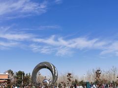 -大兴滨河森林公园