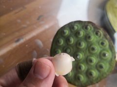 -大莲湖农家乐(青西郊野公园店)