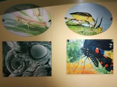 -上海昆虫博物馆