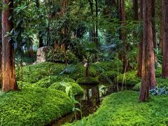 -成都市活水公园