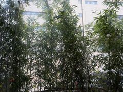 -潮州府·潮菜·砂锅粥(徐家汇店)