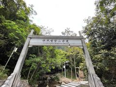 -银瓶嘴森林公园