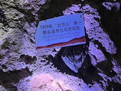 -周口店北京人遗址公园
