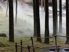 -玉苍山国家森林公园