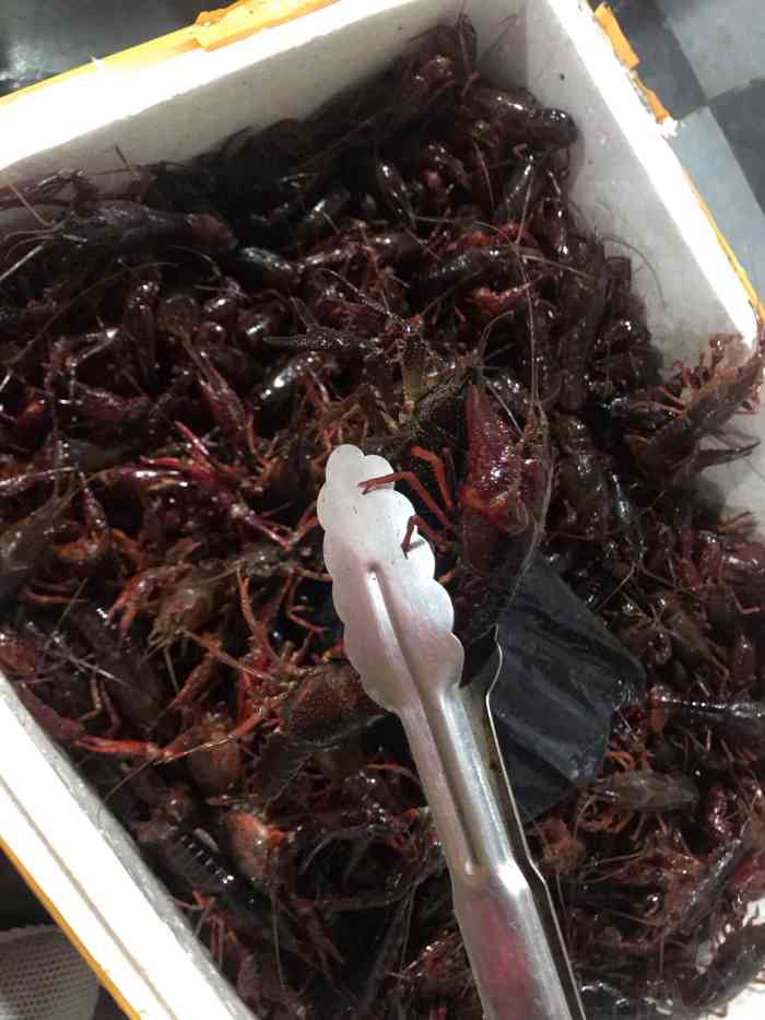 打分 每次买海鲜都在这里,这次买了小龙虾,个头有点小,但是大厨手艺好