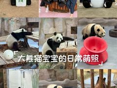 -无锡动物园·太湖欢乐园